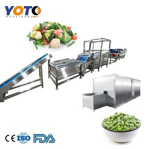 Ligne de transformation industrielle des aliments surgelés pour fruits et légumes, automatique, en acier inoxydable 304, capacité de 300 kg/h - Product Image 1