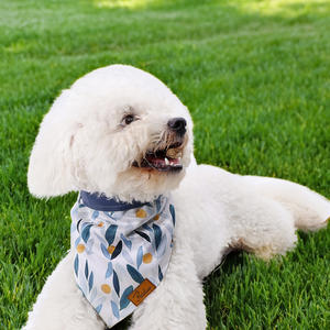 2023 Primavera Verano personalizado impreso perro Bandana bufanda lindo triángulo pañuelo accesorios para mascotas - Product Image 2