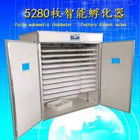 L'usine produit l'énergie solaire et incubateur d'oeufs d'oie de canard de poulet 5280 automatique électrique