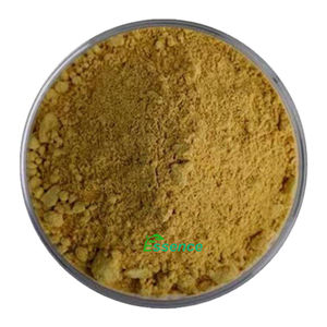 Extrait de <span class=keywords><strong>plante</strong></span> d'approvisionnement d'usine poudre d'extrait d'Armoracia rusticana poudre d'extrait de <span class=keywords><strong>raifort</strong></span> naturel 4:1 10:1 - Product Image 2