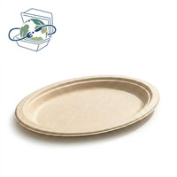 Assiettes ovales jetables biodégradables en pulpe de bagasse de canne à sucre pour fêtes, bars et pique-niques