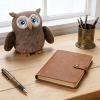 CuriPal AI Smart Owl Robot Peluche Interactif Éducatif Chantant et Racontant des Histoires pour Tout-Petits