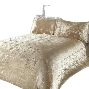 Geometric Duvet Cover with Pillow Cases Shimmer Sparkle Velvet Bedding Set