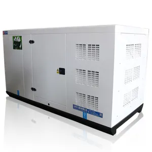 Controllo automatico professionale 3 fase 100 Kw 400v generatore di benzina silenzioso