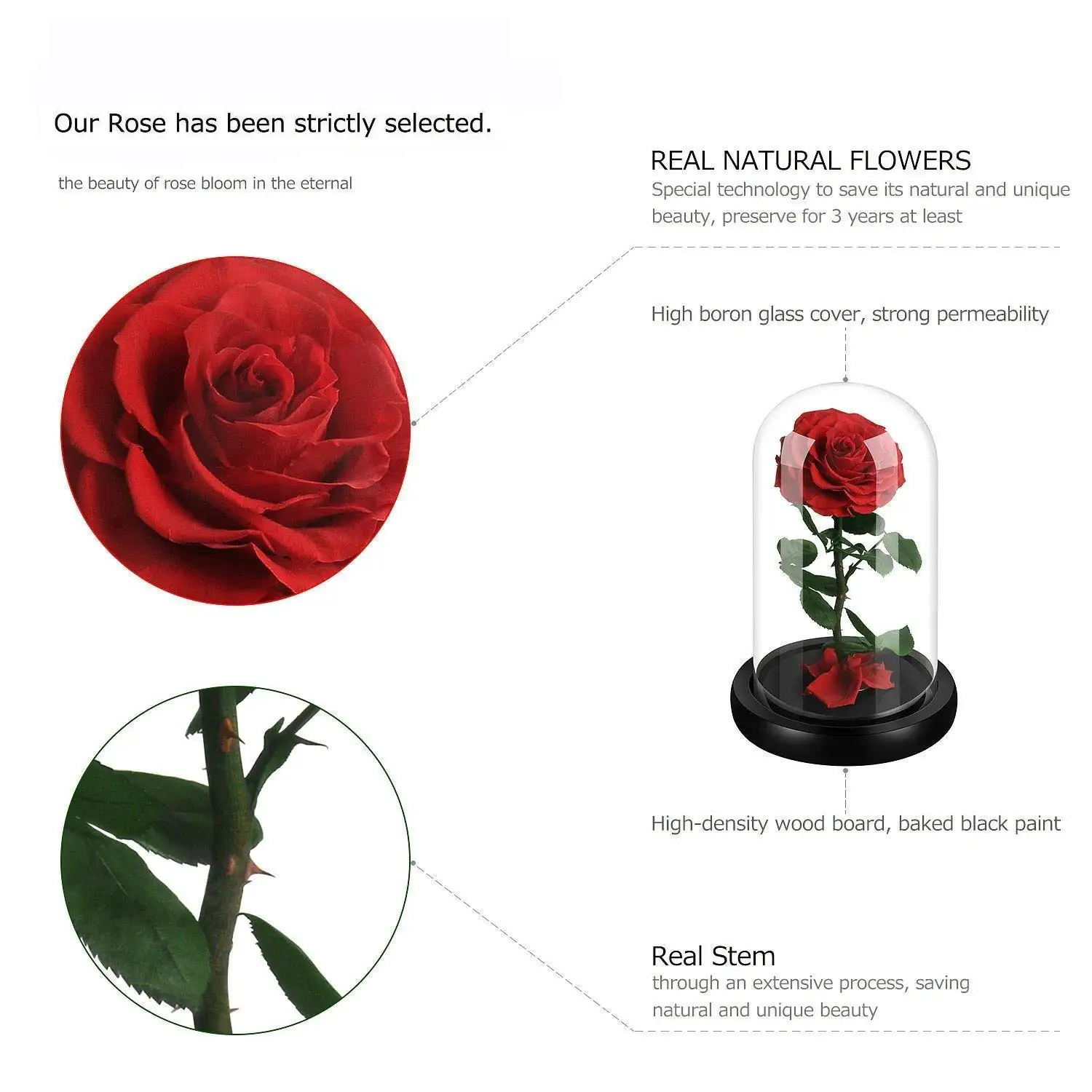 Fleur de rose éternelle de haute qualité préservée rose dans un couvercle de dôme en verre avec cadeau