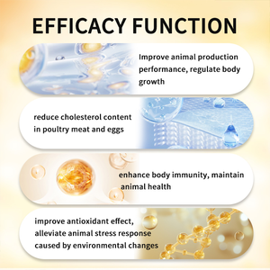 Gli additivi per mangimi per pollame fitosteroli + cromo picolinato migliorano le prestazioni di produzione regolano la crescita corporea OEM/ODM - Product Image 3