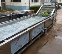 Automatische 304 roestvrijstalen luchtbel fruit- en groentewasmachine voor het reinigen van knoflook, gember en complexe producten
