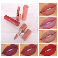 Rouge à lèvres OEM longue tenue, gloss coréen, maquillage cosmétique, imperméable, ne colle pas au verre