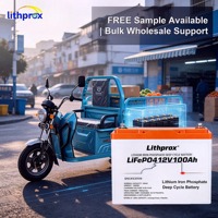 Lithium-Eisenphosphat LFP 12V100AH Faltbare Rollstuhl-Batterie Sicher Stabil Vibrationsbeständig für Elektro-Dreirad Roller MSDS