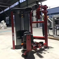 Machine de Rotation de torse de gymnastique professionnelle Logo personnalisé équipement de Fitness d'entraînement de force d'intérieur pour les clubs à domicile pour la musculation