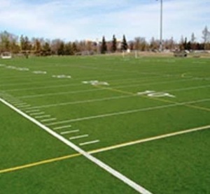 Césped artificial para <span class=keywords><strong>canchas</strong></span> <span class=keywords><strong>de</strong></span> fútbol, mini campo <span class=keywords><strong>de</strong></span> fútbol - Product Image 3