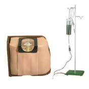Recursos de enseñanza médica Modelo de punción espinal Forma y estructura espinal Experimento de enseñanza de PVC escolar