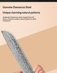 <span class=keywords><strong>Couteau</strong></span> de Chef Professionnel Forgé en Acier Damas <span class=keywords><strong>Japonais</strong></span> 67 couches de 8-9,9 pouces, Tranchant, pour Steak, Ambidextre, Traditionnel - Product Image 6