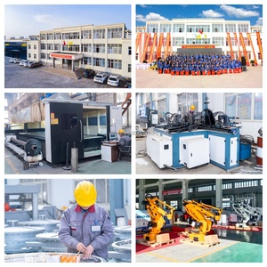 DZJX 3 4 5 6 Axes Robot Palettiseur Bras Pour Bloc De Béton Robot Palettiseur Wrapper Wrap Palette Machine D'emballage - Product Image 6