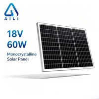AILI 60W 18V Panneau Solaire Monocristallin Mini Entièrement Noir Module Photovoltaïque Compact pour Éclairage de Jardin et Recharge Lente de Batterie 12V