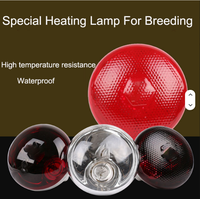 Lampe chauffante et ampoule chauffante pour veaux, moutons, porcelets, poussins et usage agricole