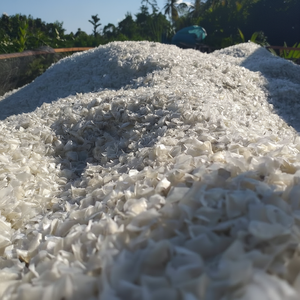 Escamas de Pescado Tilapia Secas en Venta, Tamaño Grande, Más de 1 cm, Especializadas en la Producción de Colágeno - Product Image 1