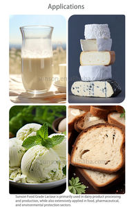 Sunsonzymes 26 tahun kualitas terbaik aditif makanan bubuk enzim laktat untuk pil pencernaan makanan Yogurt susu bebas laktosa - Product Image 3