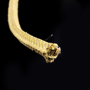 Vàng Tinh Khiết Aramid sợi tuyến đóng gói ngâm tẩm - Product Image 4