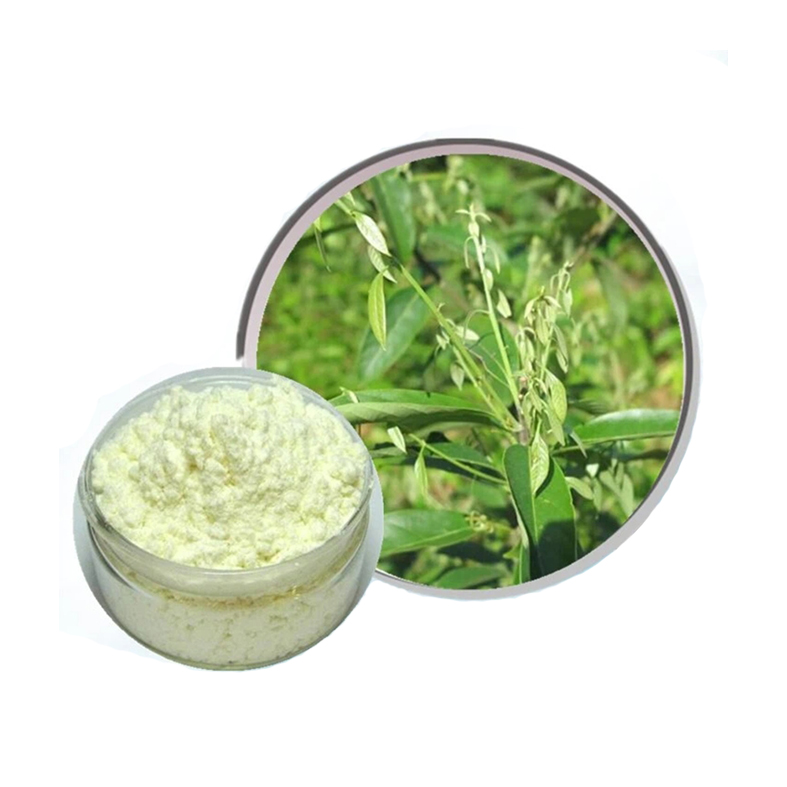 Bulk Supply Sweet Tea Extract Powder 100% Natural Sweet Tea Extract