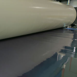 دُوشي 100 جرام 150 جرام 200 جرام بالجملة، بريبِرِج كربوني مسبق التحضير بسعر رخيص للأولاد والبنات، راتنج عام مقاوم للحرارة - Product Image 2