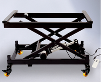 Beauté du visage à fabrication personnalisée, lit de massage relevable, table de traitement électrique pour spa