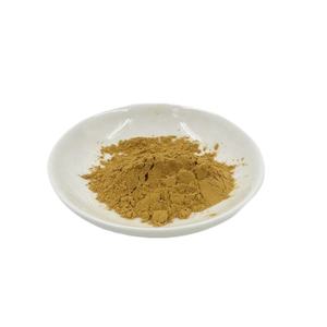 สารสกัดจากอัลบั้ม10:1 loranthus parasiticus สารสกัดจากใบมิสเซิลโท - Product Image 4