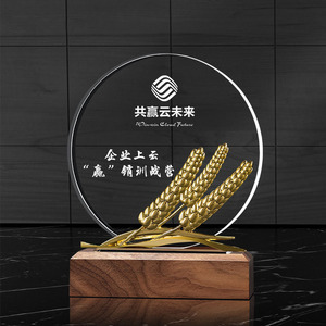 Grade <span class=keywords><strong>2022</strong></span> — tringle en cristal en bois massif, prix <span class=keywords><strong>de</strong></span> compétition créative, haut <span class=keywords><strong>de</strong></span> gamme, nouveau Design, personnalisation rapide - Product Image 5