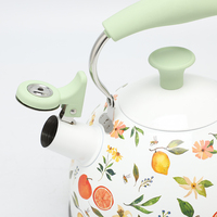 Bouilloire sifflante en acier inoxydable 2,5 L, moderne, pour la cuisine domestique, compatible induction, avec motif imprimé