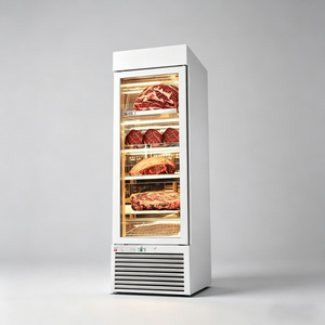 Congelador de carne de una sola puerta |   Gabinete de Curación de Carne con Control Electrónico, Refrigerador Ventilado para Maduración en Seco y Fermentación de Filetes - Product Image 3