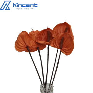 3 pz/5 pz fiori conservati fiori naturali conservati Anthurium veri Fleurs composizioni floreali - Product Image 4