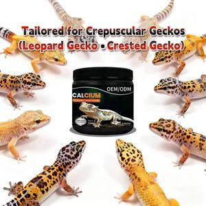 Kalsium Bubuk OEM untuk Leopard Gecko Tanpa D3 Tanpa Fosfor Aksesoris Akuarium Leopard Gecko Tempat Tinggal Reptil - Product Image 2