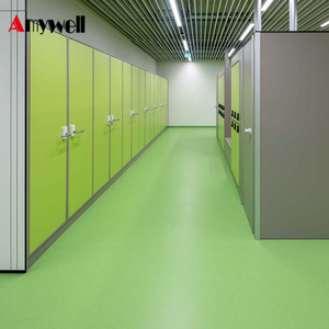 Новый дизайн водонепроницаемый Hpl фенольный компактный ламинат тренажерный зал шкафчик - Product Image 2