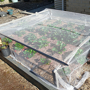 Filet anti-moustiques pour <span class=keywords><strong>piscine</strong></span>, écran anti-insectes en maille colorée HDPE, couvertures en maille anti-insectes pour jardins - Product Image 3