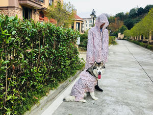 2025 humain et <span class=keywords><strong>chien</strong></span> imperméable famille Look animal de compagnie tissu populaire mode vêtements de plein air moto correspondant propriétaire vêtements tenue - Product Image 6