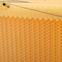Production de miel populaire Auto Ruche Miel Peigne Cadre en plastique Miel automatique Fluide Abeille Ruche Cadres
