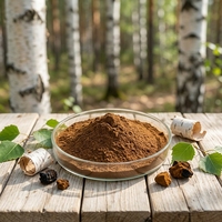 Sciyu Supply Poudre d'extrait de champignon Chaga avec 20% 50% de polysaccharides, qualité alimentaire, certifiée Halal