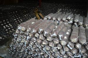 Remplissage petit substrat culture ensacheuse bois sciure de bois pour la plantation de champignons sac faisant la machine - Product Image 5