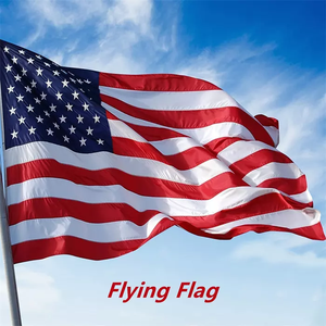 Bandera Americana personalizada para jardín, 12X18 pulgadas, para todas las estaciones y vacaciones - Product Image 2