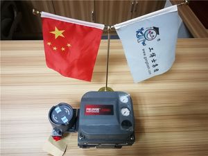 Controlador de válvula de bola para aguas profundas FISHER DVC6200P en stock con soporte OEM personalizado chino G2080 - Product Image 5