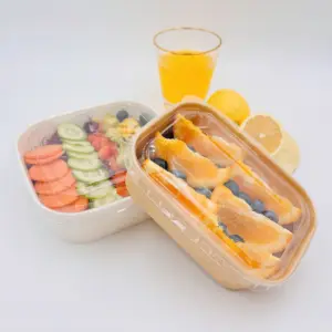 Rectangular Biodegradable Paper Bowls Food Grade Kraft Paper Salad Box For Restaurant/Picnic/Camping