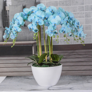 <span class=keywords><strong>Vaso</strong></span> Decorativo H-164 con Piante Vive, Fiori Artificiali in Seta Bianca, Orchidee Phalaenopsis in <span class=keywords><strong>Vaso</strong></span> Trasparente - Product Image 6