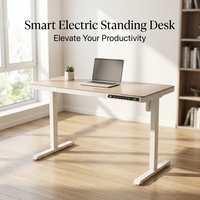 Bureau électrique réglable en hauteur AOR en acier inoxydable, design moderne, avec gestion des câbles intégrée, table d'ordinateur de bureau, vente directe usine
