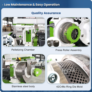 Mulino <span class=keywords><strong>per</strong></span> <span class=keywords><strong>Pellet</strong></span> di Biomassa Multifunzionale RICHI - Mulino <span class=keywords><strong>per</strong></span> <span class=keywords><strong>Pellet</strong></span> di Legno da Tronchi, Trucioli e Segatura in Vendita - Product Image 3