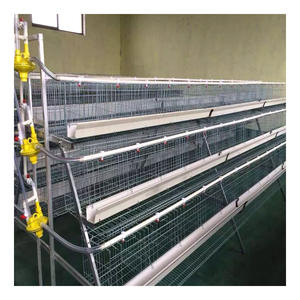 Fabrika kaynağı bir tip <span class=keywords><strong>4</strong></span> katlı 128/160 kuş tavuk yumurta katmanı pil tavuk kafesi - Product Image 3