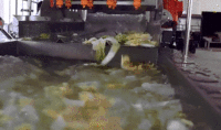 Hoogwaardige industriële voedselverwerkingsmachines voor fruit- en groenteverwerkingslijnen met 20kW motor en capaciteit van 1-1,5t/u