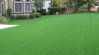 EverC Turf Premium 10mm Weicher Kunstrasen Teppich Florhöhe Feuerfest Einfache Installation für Sportplätze Außenbereich