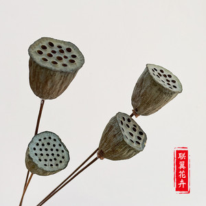 Pétales de lotus séchés, plantes décoratives naturelles, style artistique, accessoires photographiques, petite taille, fleurs séchées en gros - Product Image 2