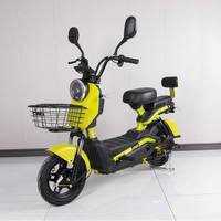 Vélo électrique cargo tout-terrain 48 V pour adultes, nouveau modèle 2026, vente directe usine, pas cher - Achetez maintenant