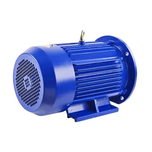 440v Ac Motor 3 Phase Electric Motor 1000rpm 22kw 22kw 30hp
